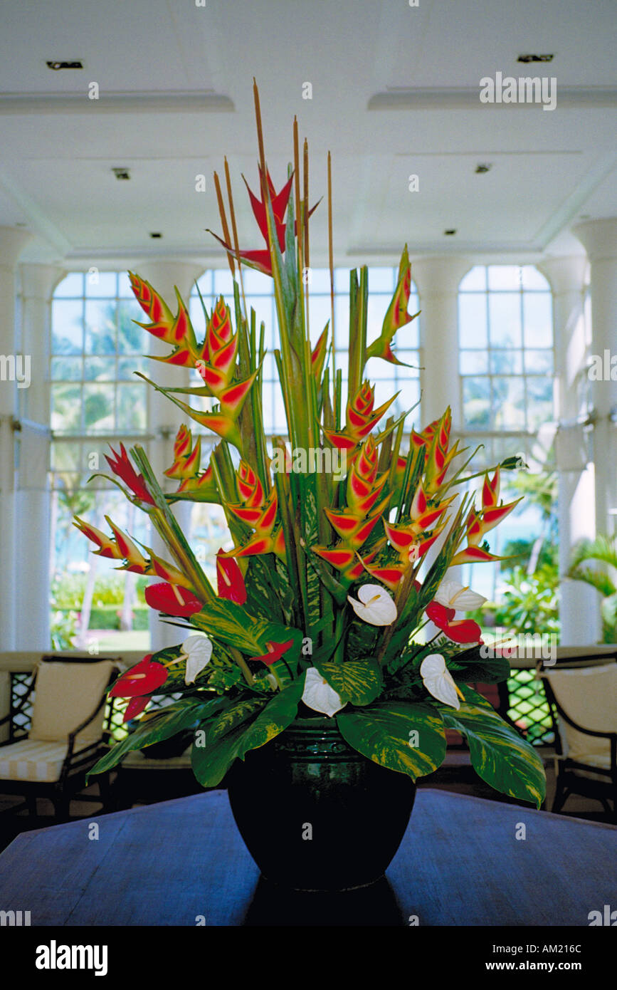 An Arrangement Of Bird Of Paradise Flowers In A Hotel On The Island Stock Photo Alamy