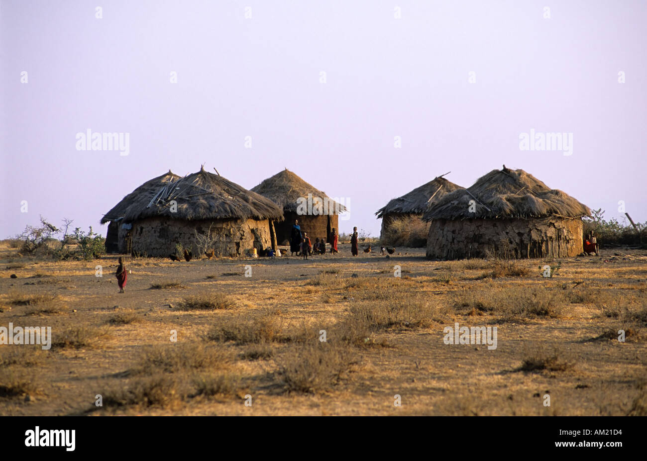 Maasai village near Mto wa Mbu, Tanzania Stock Photo