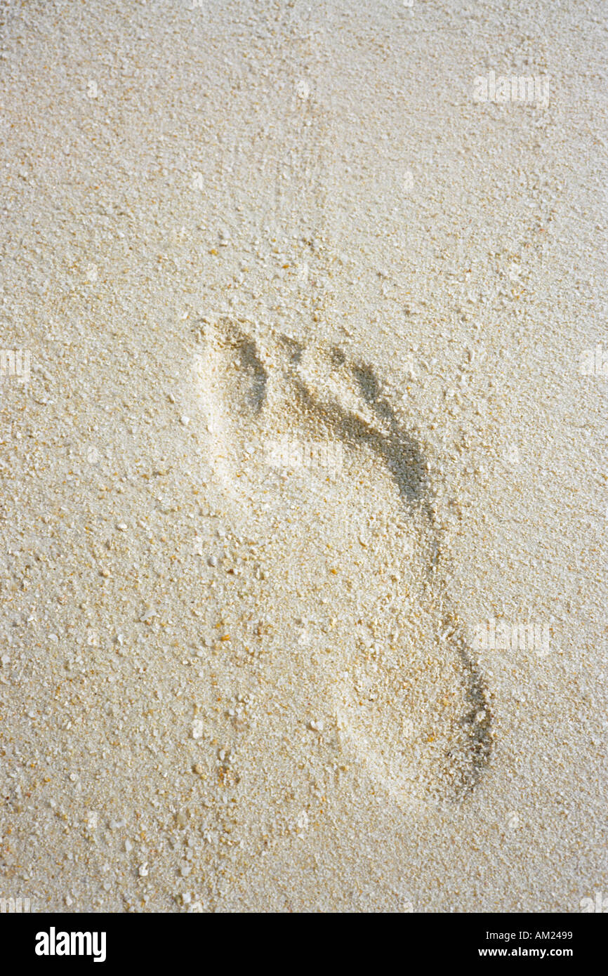 A footprint in coral sand on a tropical beach Stock Photo