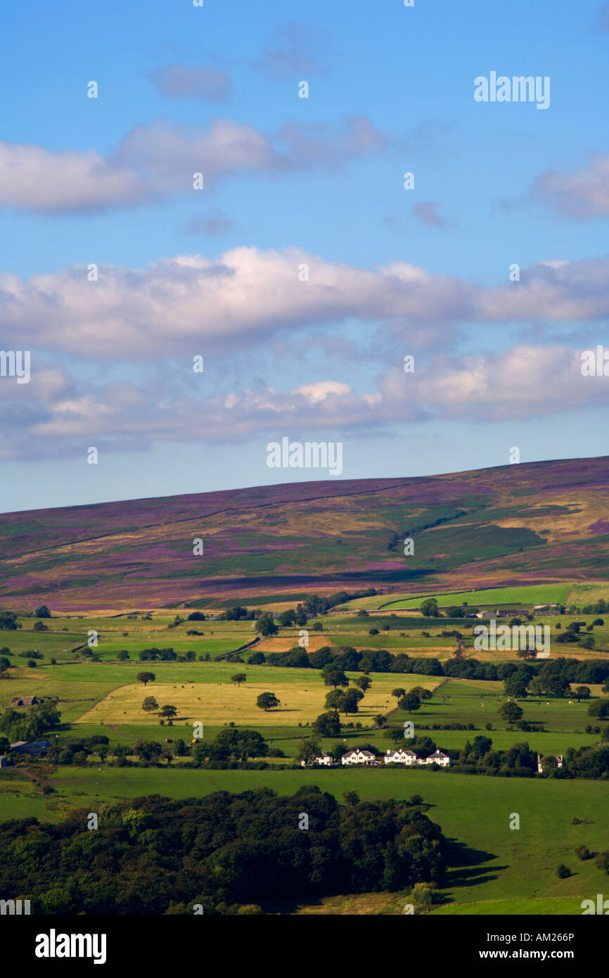 Toward Blubberhouses Moor from Ilkley Moor West Yorkshire England Stock