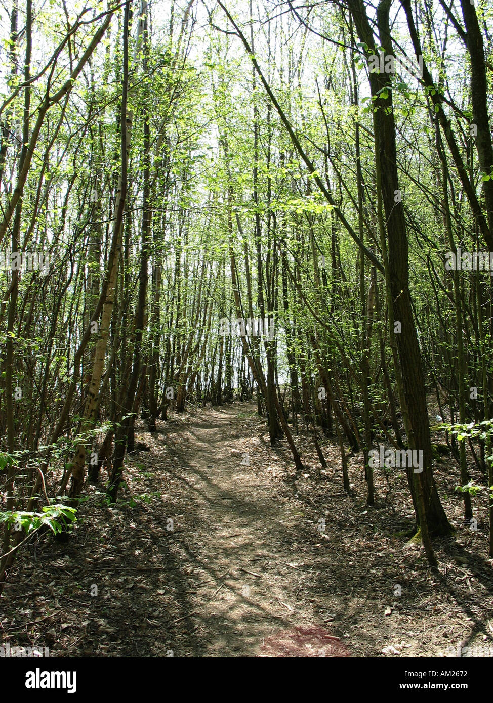 Kent in spring hi-res stock photography and images - Alamy