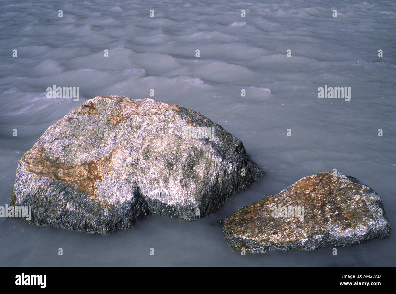 NEW ZEALAND West Coast Westland National Park Rocks located in river ...
