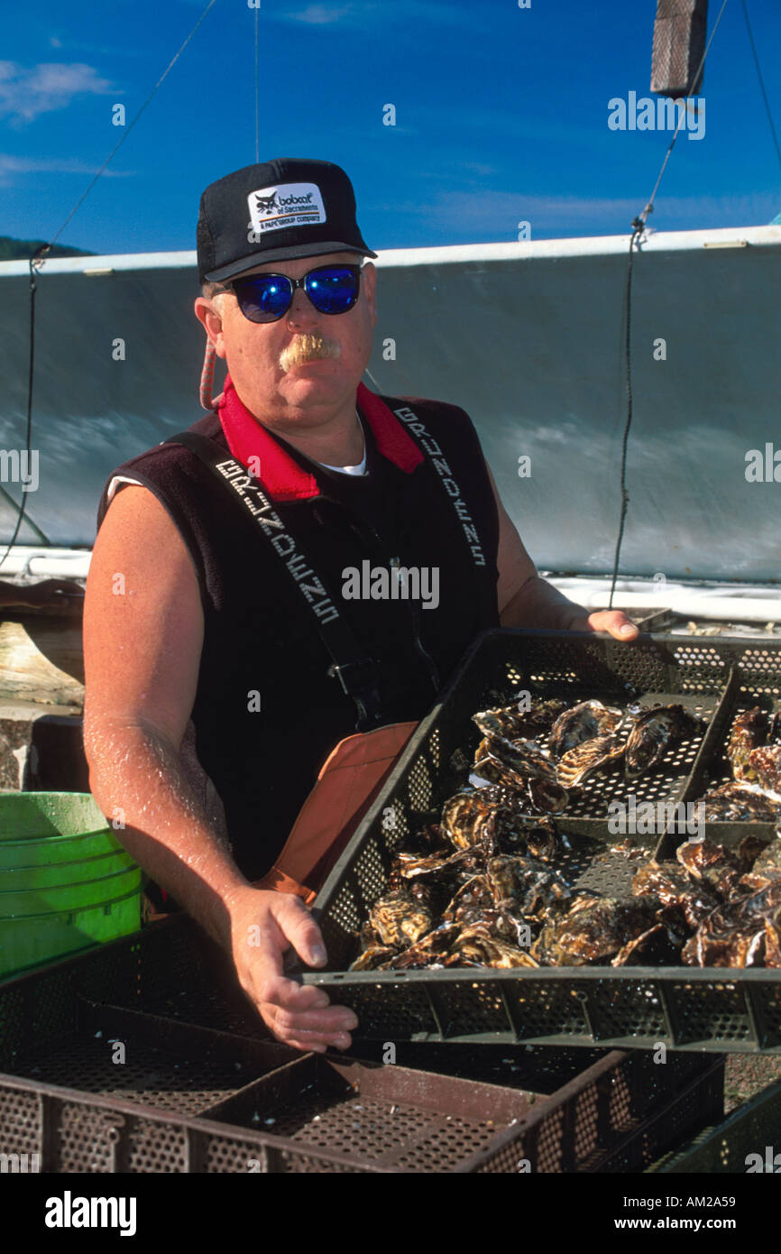 Oyster farmer usa hires stock photography and images Alamy