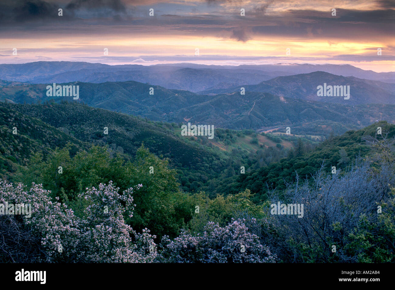 Storm clouds sunrise over wild rugged green rolling hills spring Mount Hamilton Santa Clara California Stock Photo