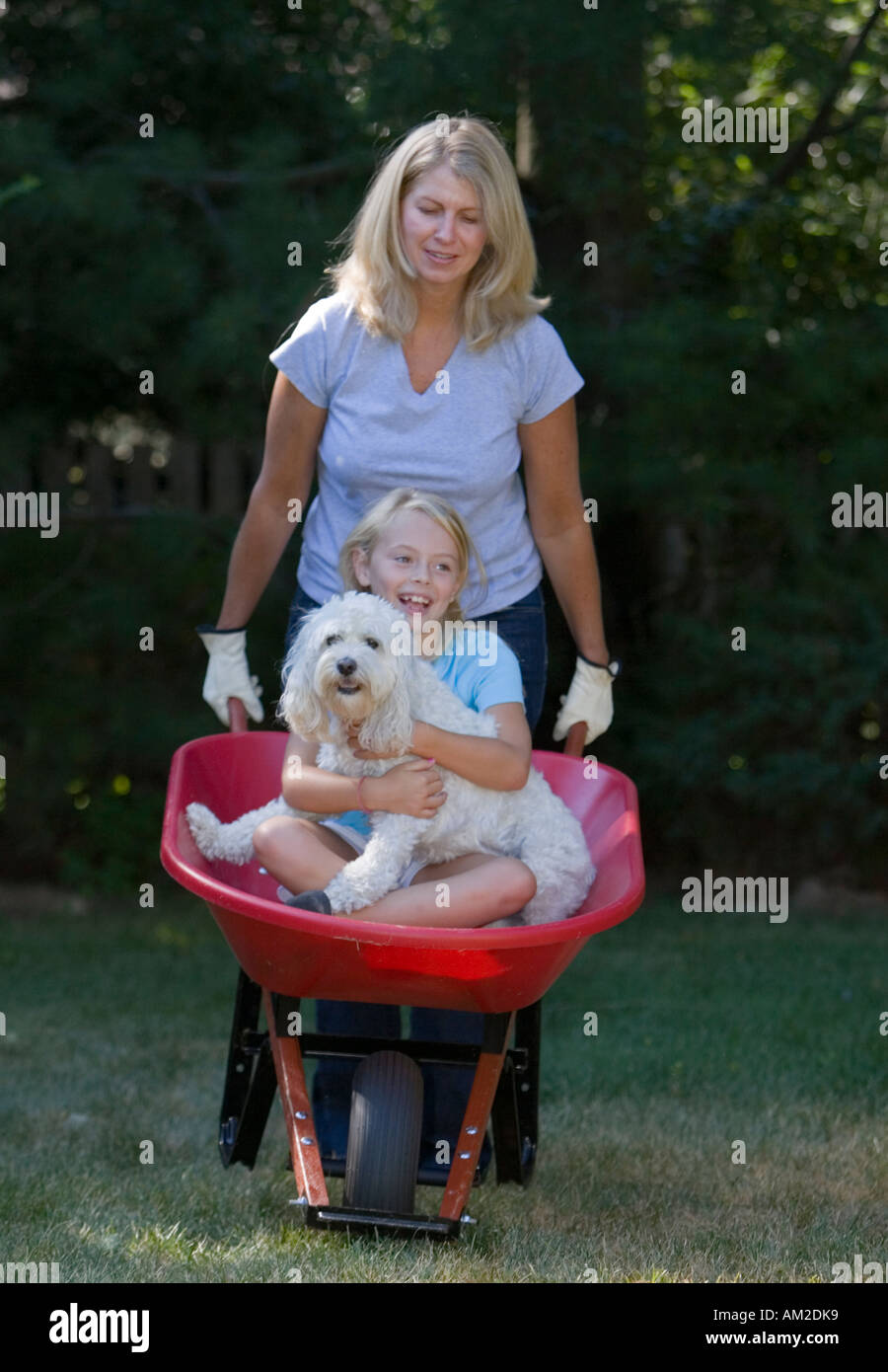 Mother pushing her daughter in a wheelbarrow Stock Photo - Alamy
