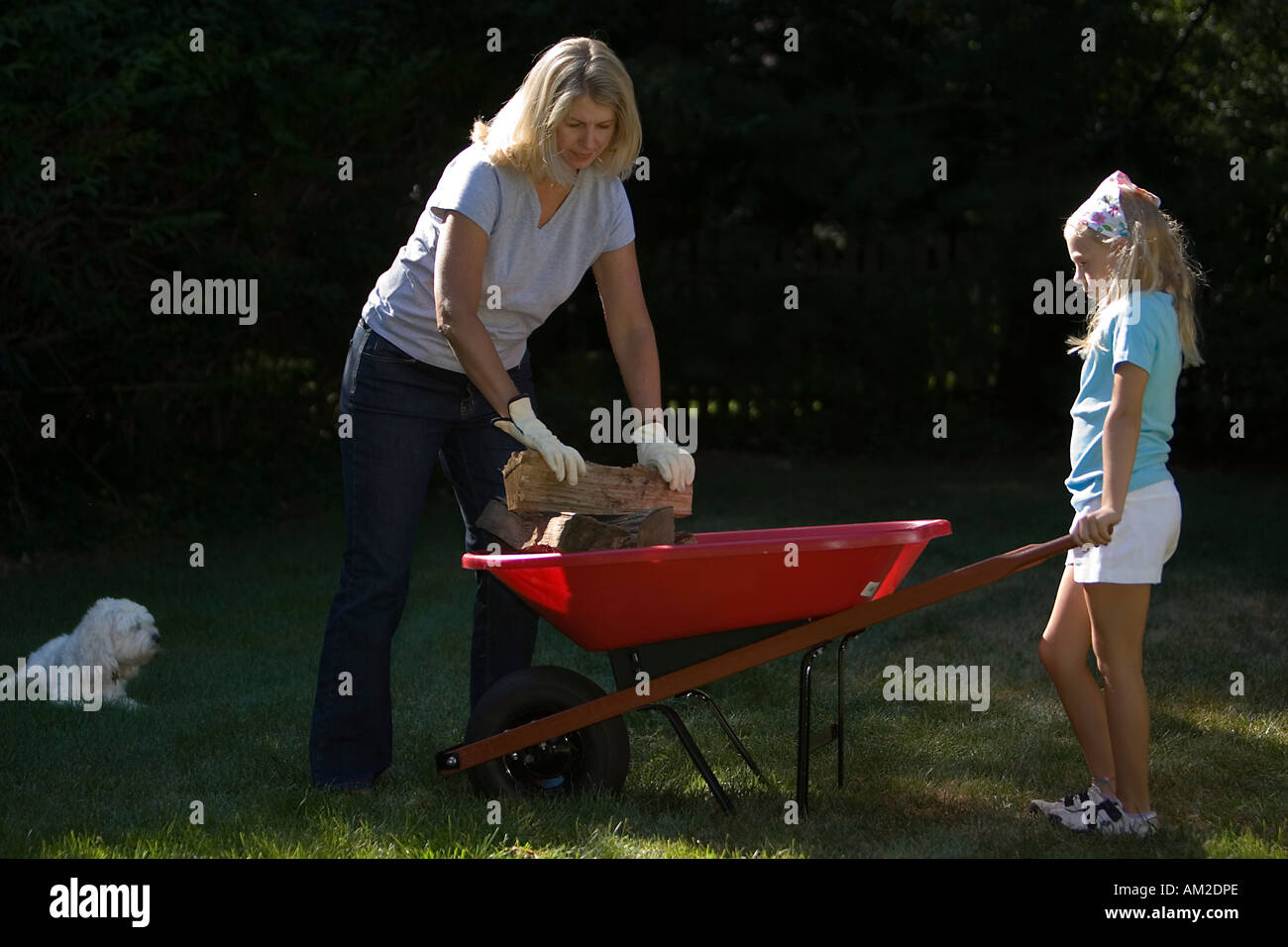Mother and daughter putting firewood into a wheelbarrow Stock Photo - Alamy