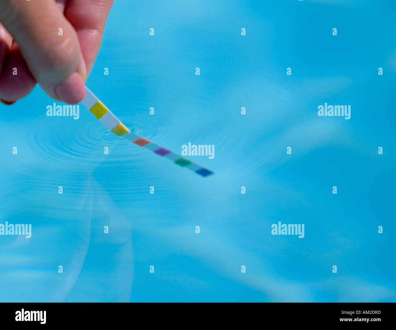 Checking chemical levels in a pool Stock Photo Alamy