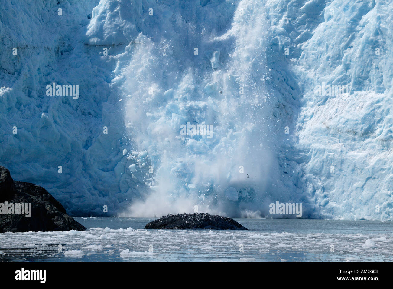 Aialik Glacier calves into Aialik Bay Kenai Fjords National Park Alaska Stock Photo