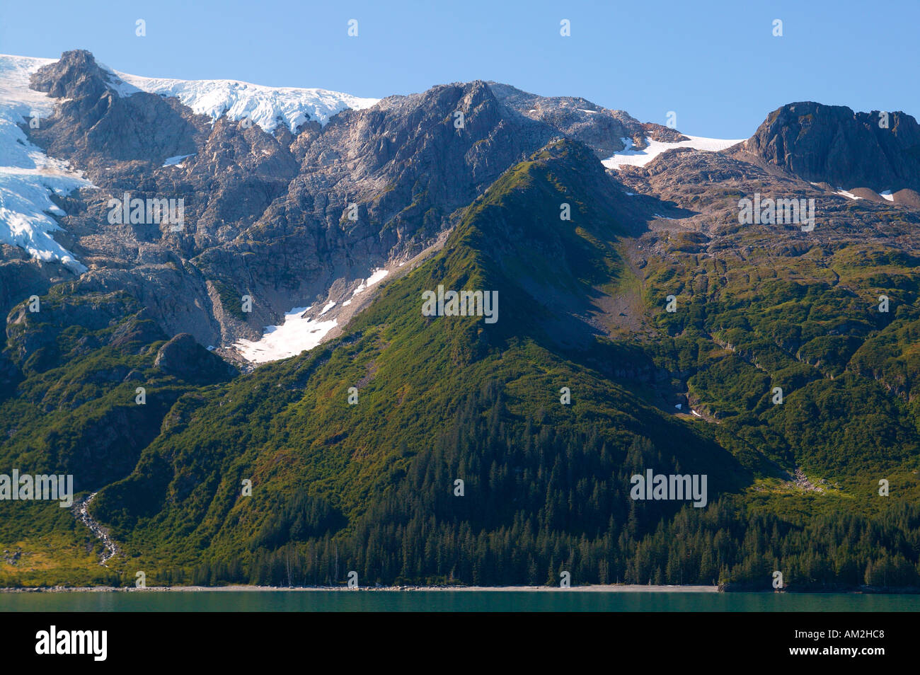 Plant succession along the shores of Holgate Arm Aialik Bay Kenai ...