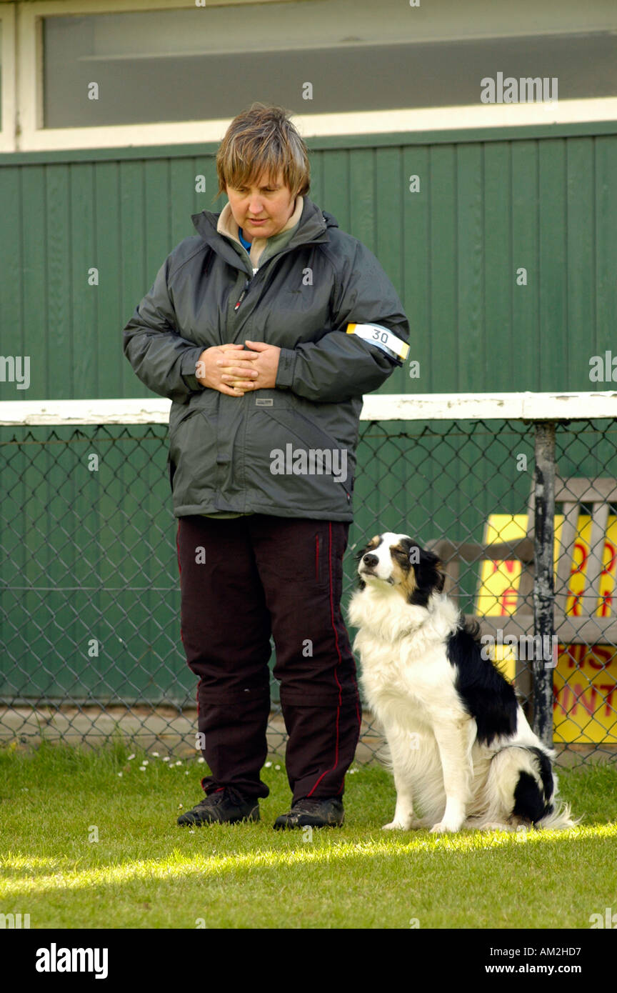 Scottish kennel club show hires stock photography and images Alamy