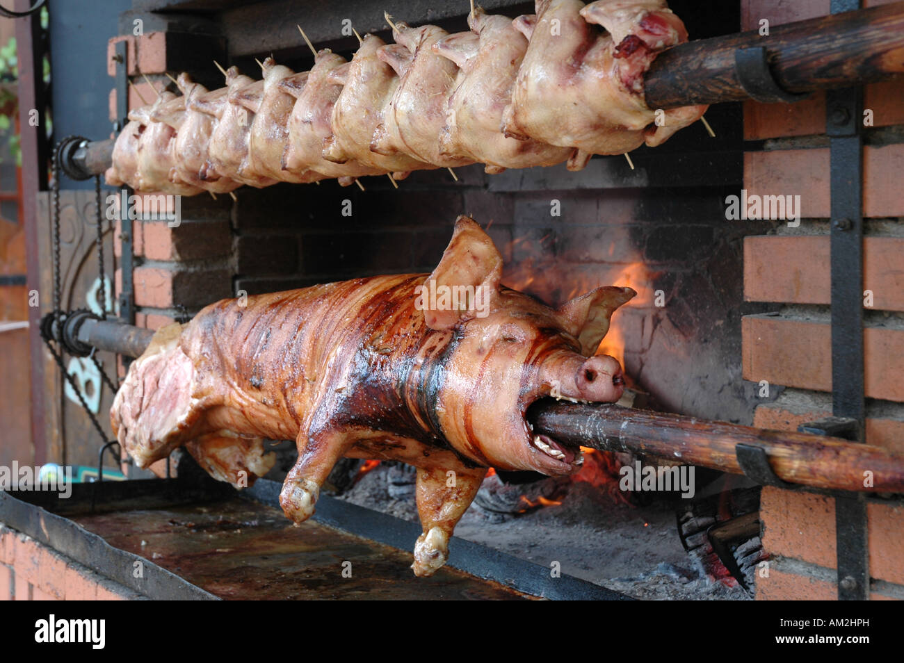 Hog roast pig and chicken spit Stock Photo