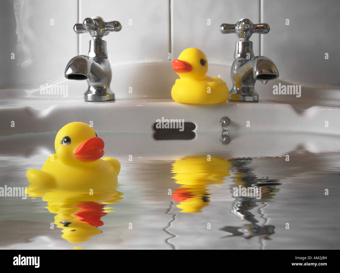 Rubber Ducks Come on in the waters lovely Stock Photo