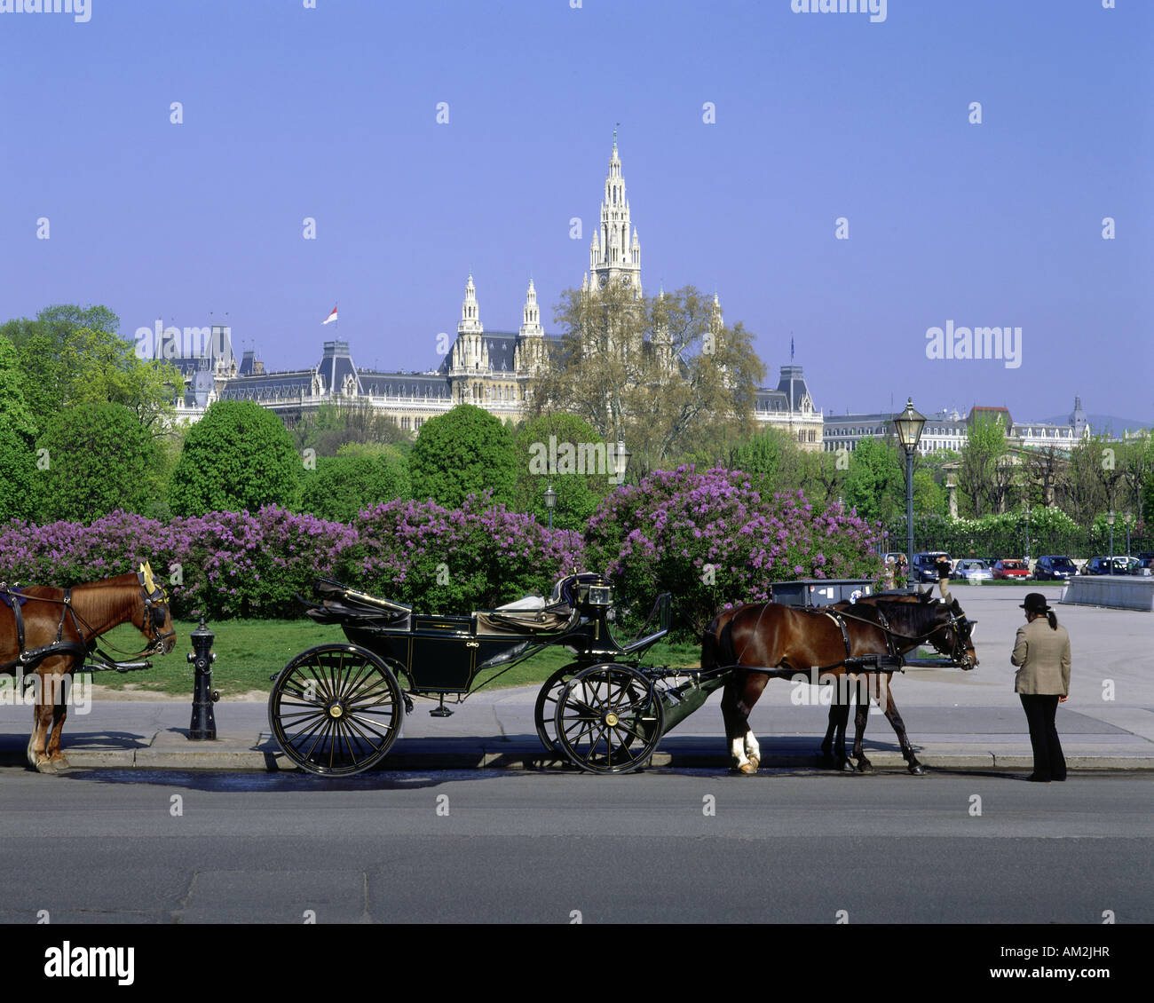 geography / travel, Austria, Vienna, squares, Heldenplatz, carriage at the Heldenplatz, Hofburg Imperial Palace, city hall, Additional-Rights-Clearance-Info-Not-Available Stock Photo