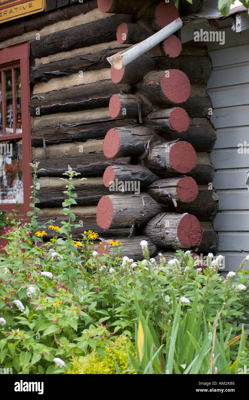 Wildflowers Flourish At Corner Of Authentic Log Cabin Structure