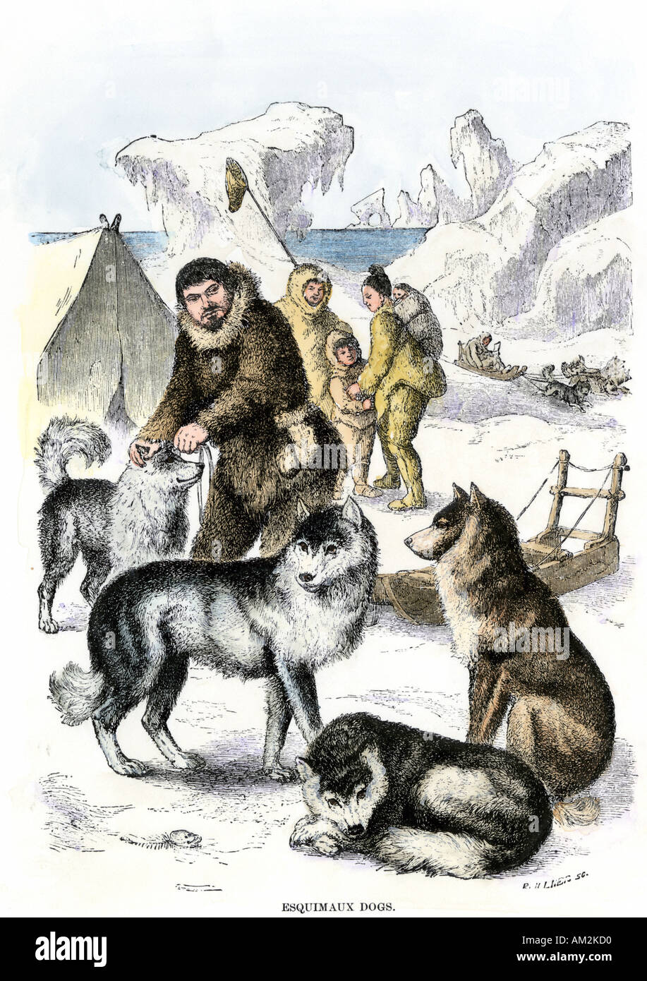 Inuit family with dog team and sled 1800s. Hand-colored woodcut Stock Photo