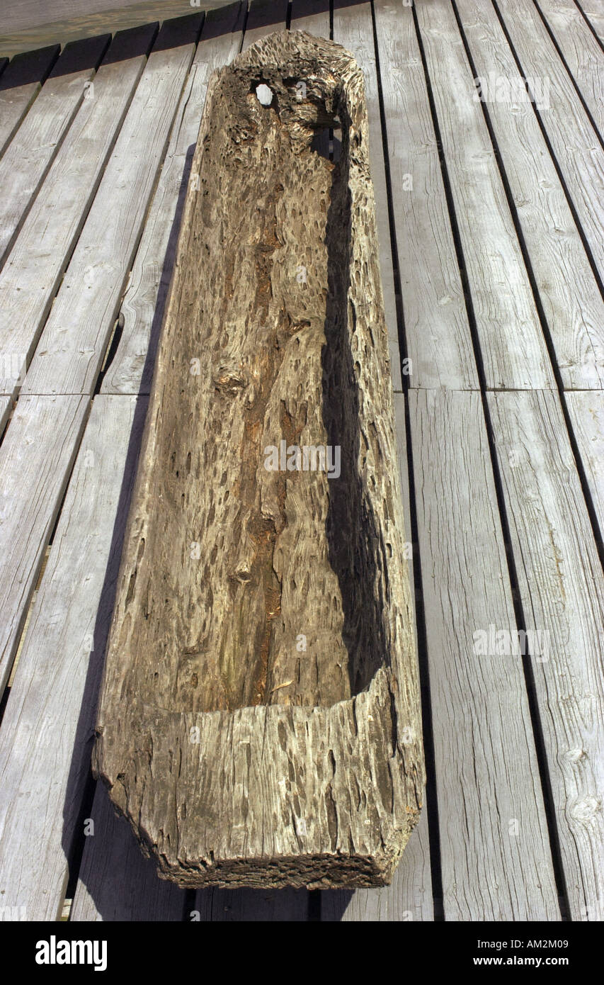Remains of a dugout canoe used in the bayous along the Mississippi River, Arkansas. Digital photograph Stock Photo