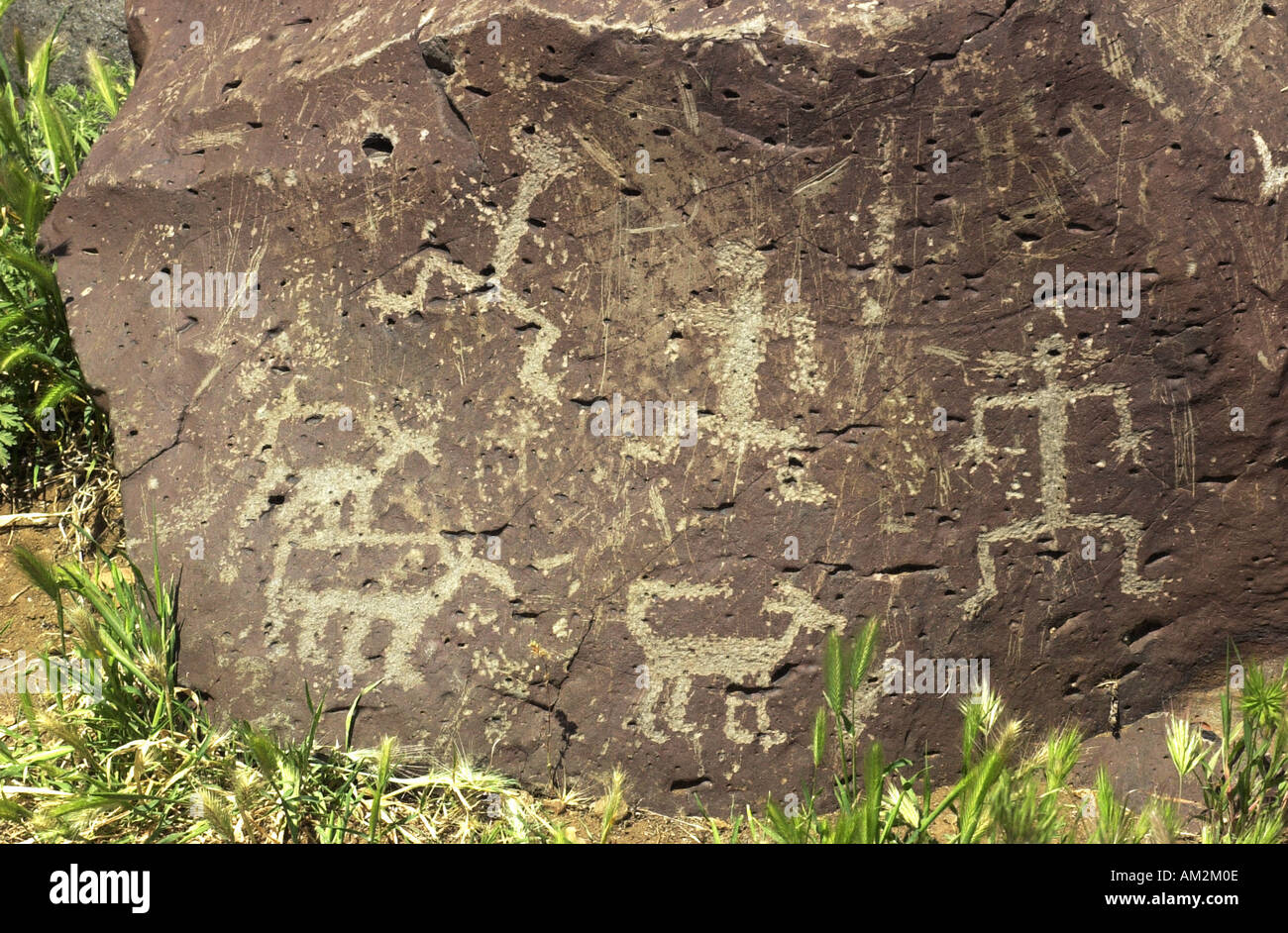 Petroglyph carvings of animal figures on a rock by the Salt River Arizona. Digital photograph Stock Photo