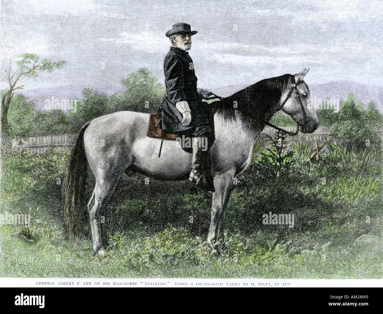 Robert e lee horse hi-res stock photography and images - Alamy