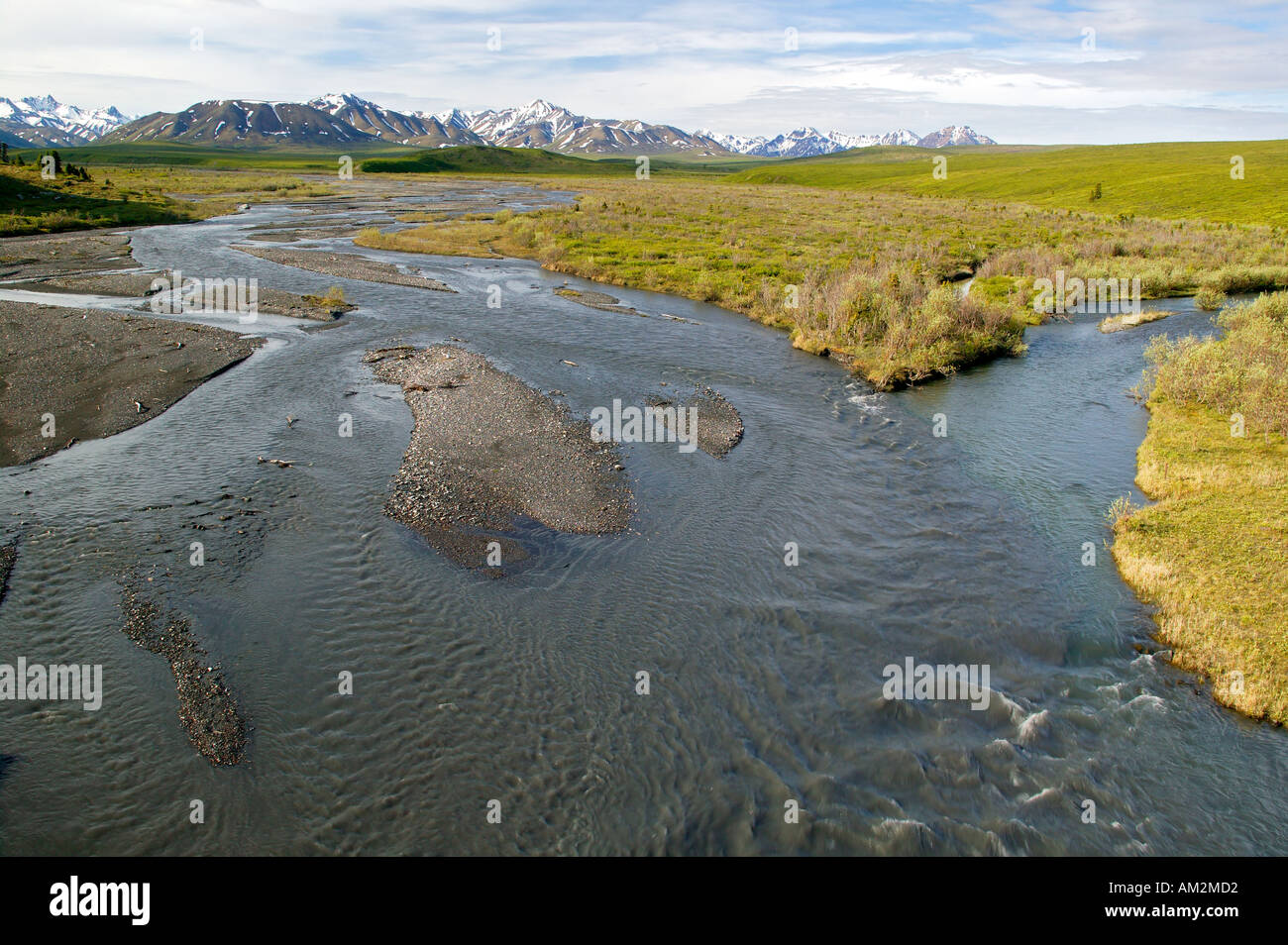 Looking south up Savage River Denali National Park Alaska Stock Photo ...