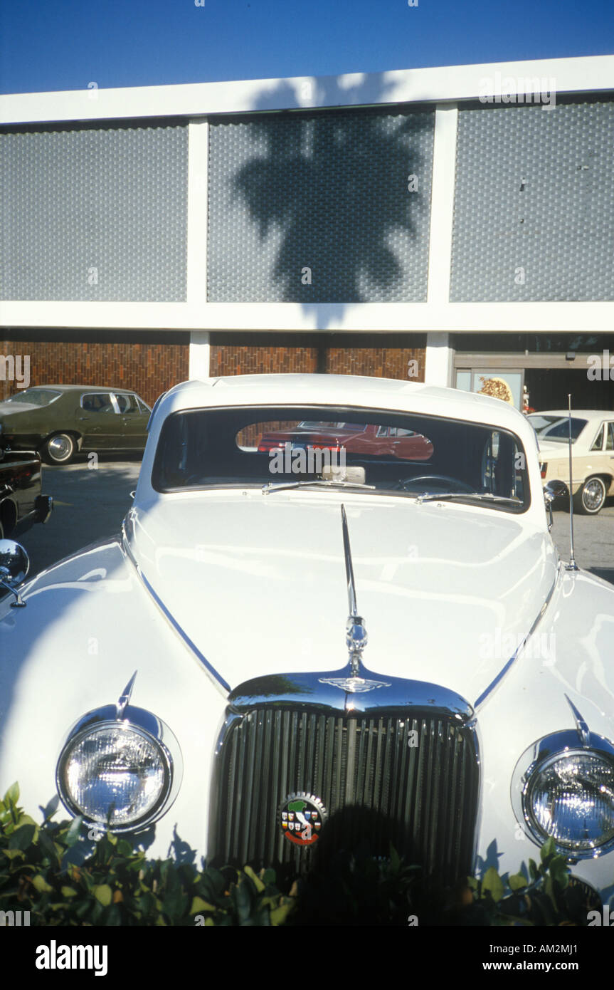 A Jaguar in Beverly Hills California Stock Photo