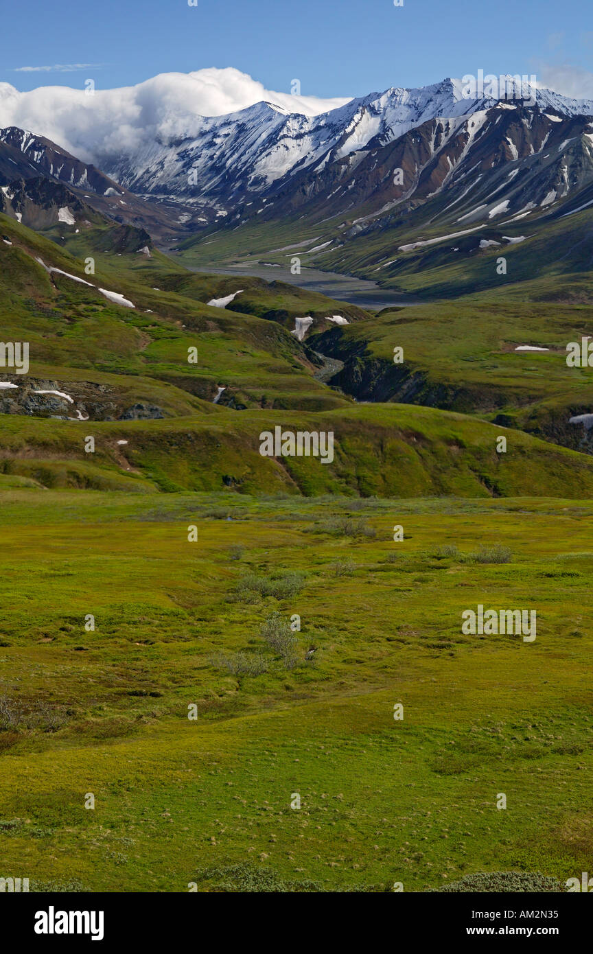 View from the road in Thorofare Pass looking accross Gorge Creek up the Thorofare River Denali National Park Alaska Stock Photo