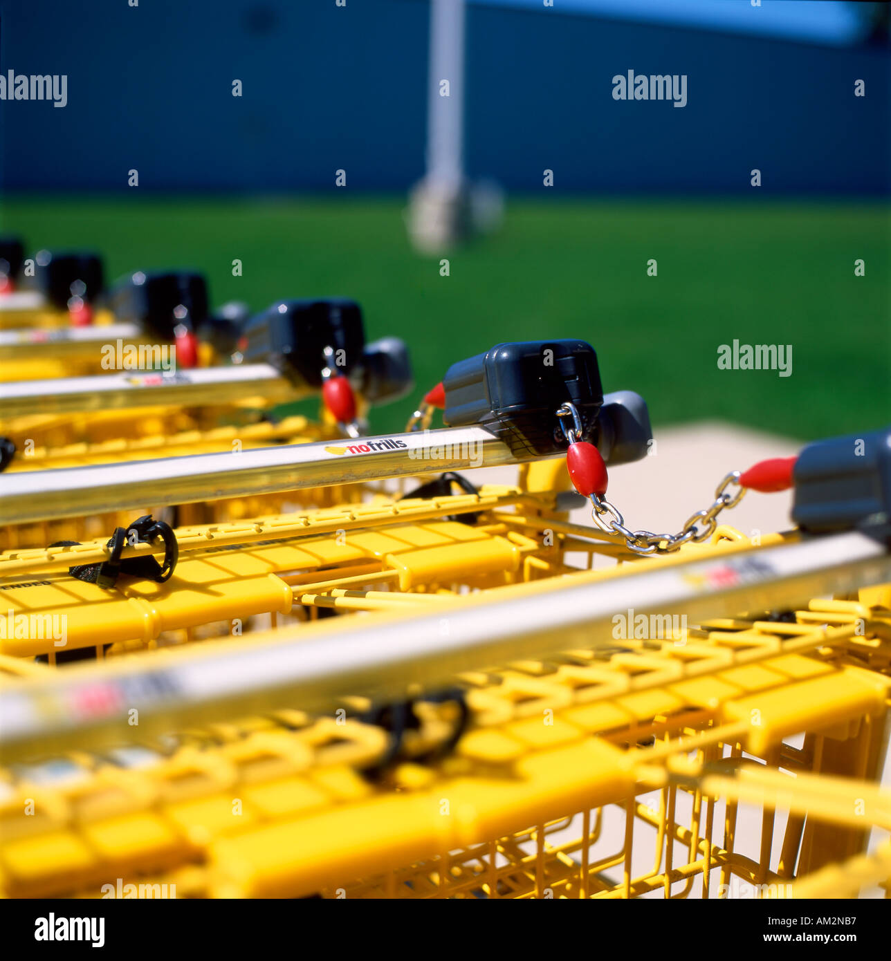 Detail of yellow shopping carts outside No Frills supermarket, Canada