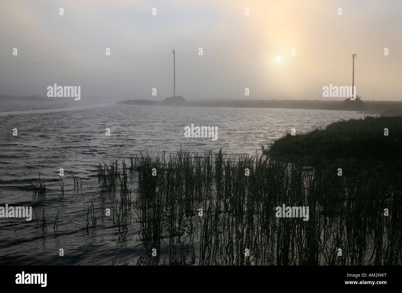 dramatic light at the foggy lake Myvatn in Iceland Mývatn Stock Photo