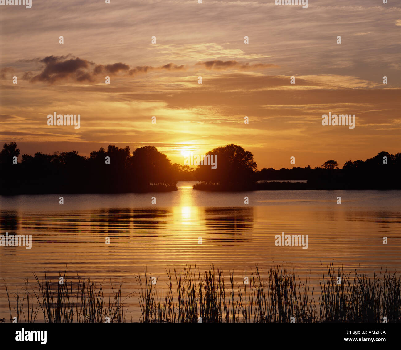 sunset over lake in Florida USA Stock Photo