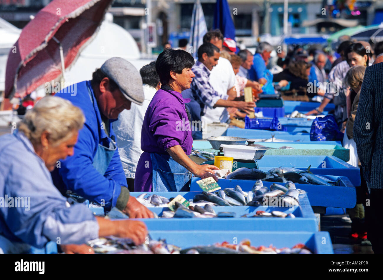 France, Bouches-du-Rhone, Marseille, fish market at Vieux Port area Stock Photo