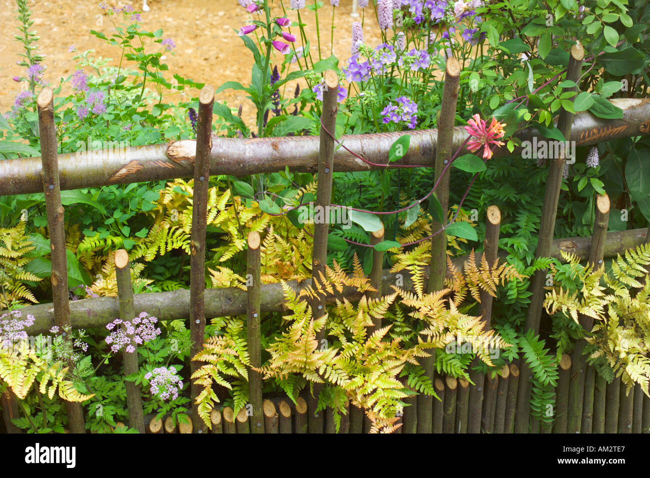 The Chelsea Flower Show 2005 small cottage garden with a natural feel rustic wooden fencing with Lonicera honeysuckle climbing Stock Photo