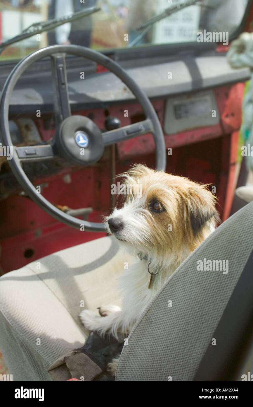 Devon village terrier hires stock photography and images Alamy
