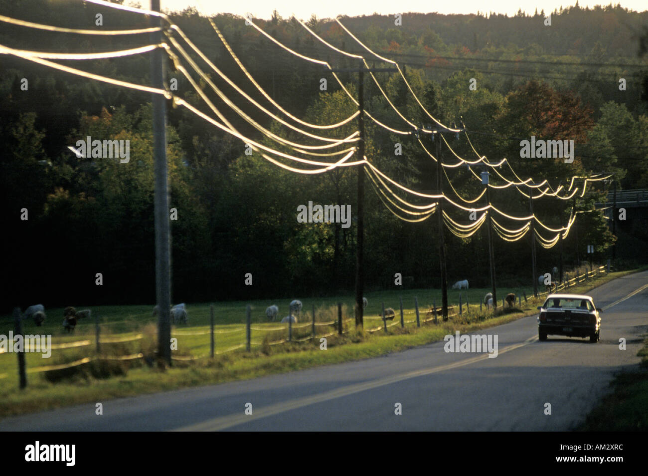 A car driving down a road with power lines during sunset in Wheelock