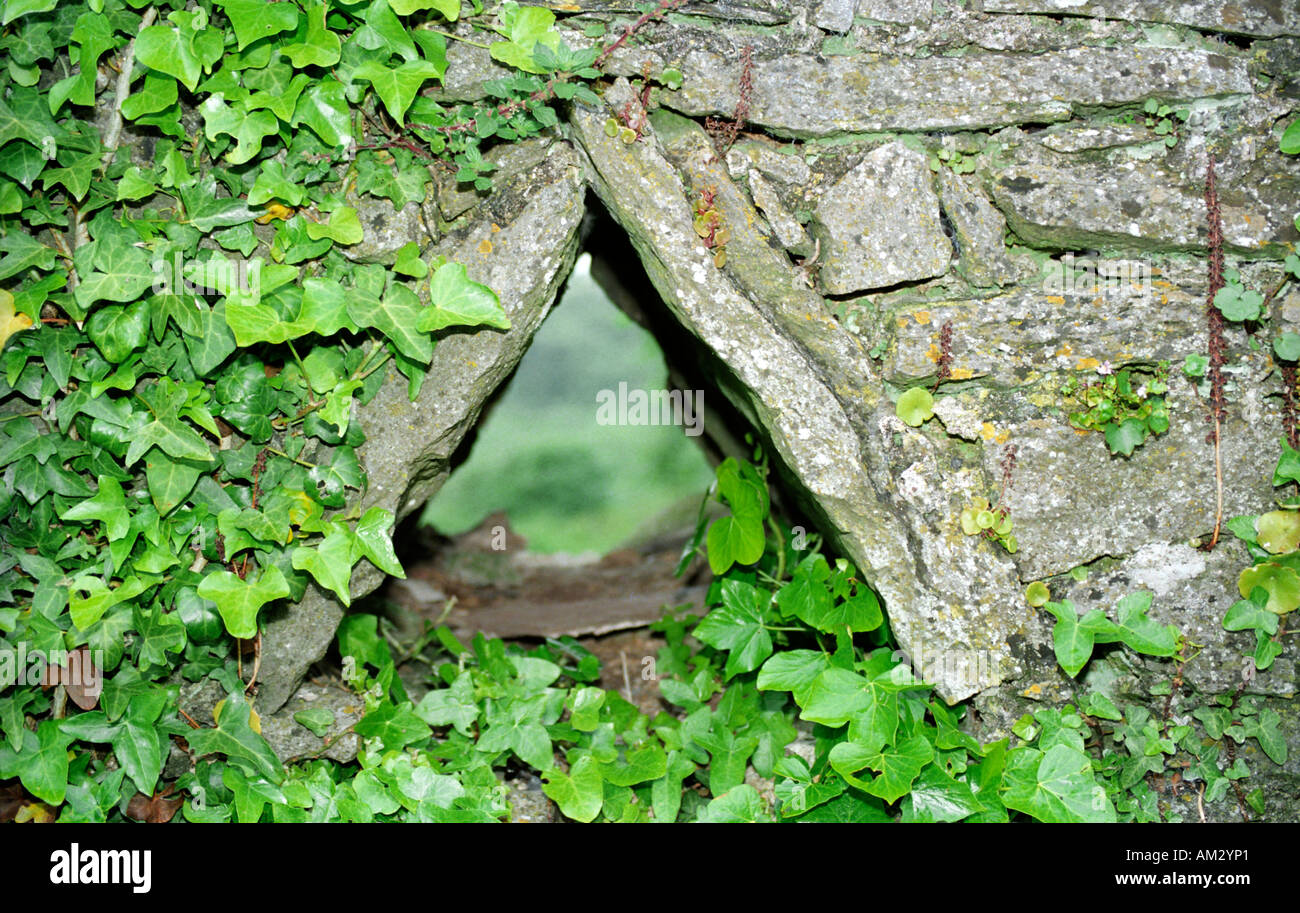 Triangular dove nesting hole in ancient castle wall Stock Photo