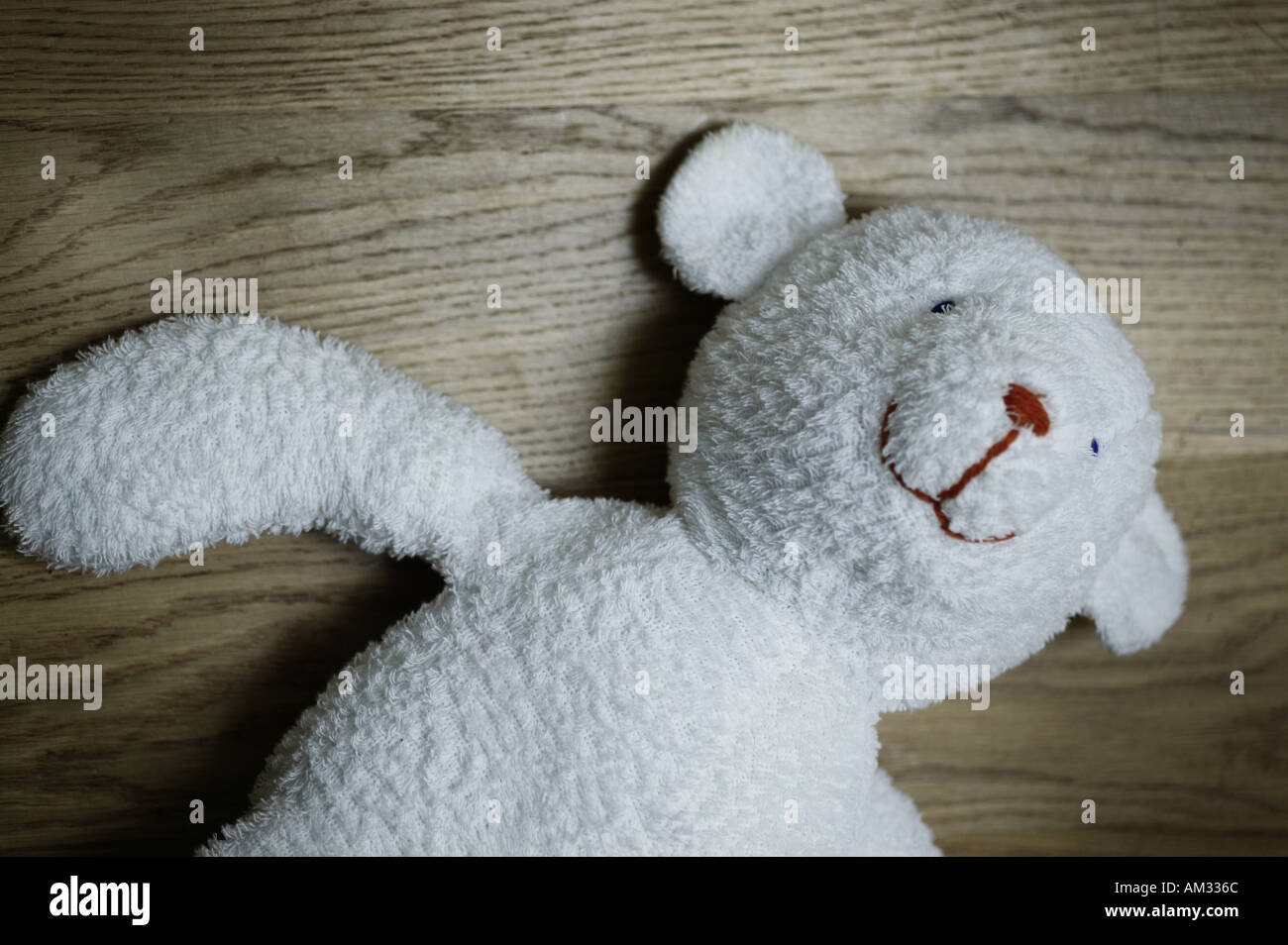 Teddy Bear on a wooden floor Stock Photo - Alamy