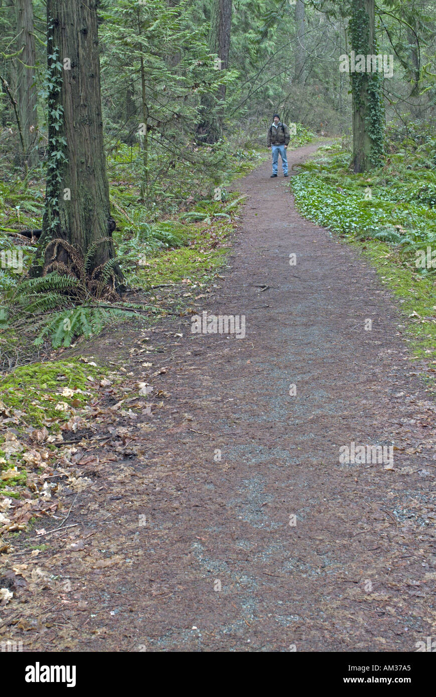 Hiker on hiking trail Bowen Park Nanaimo Vancouver Island British Columbia Canada Stock Photo