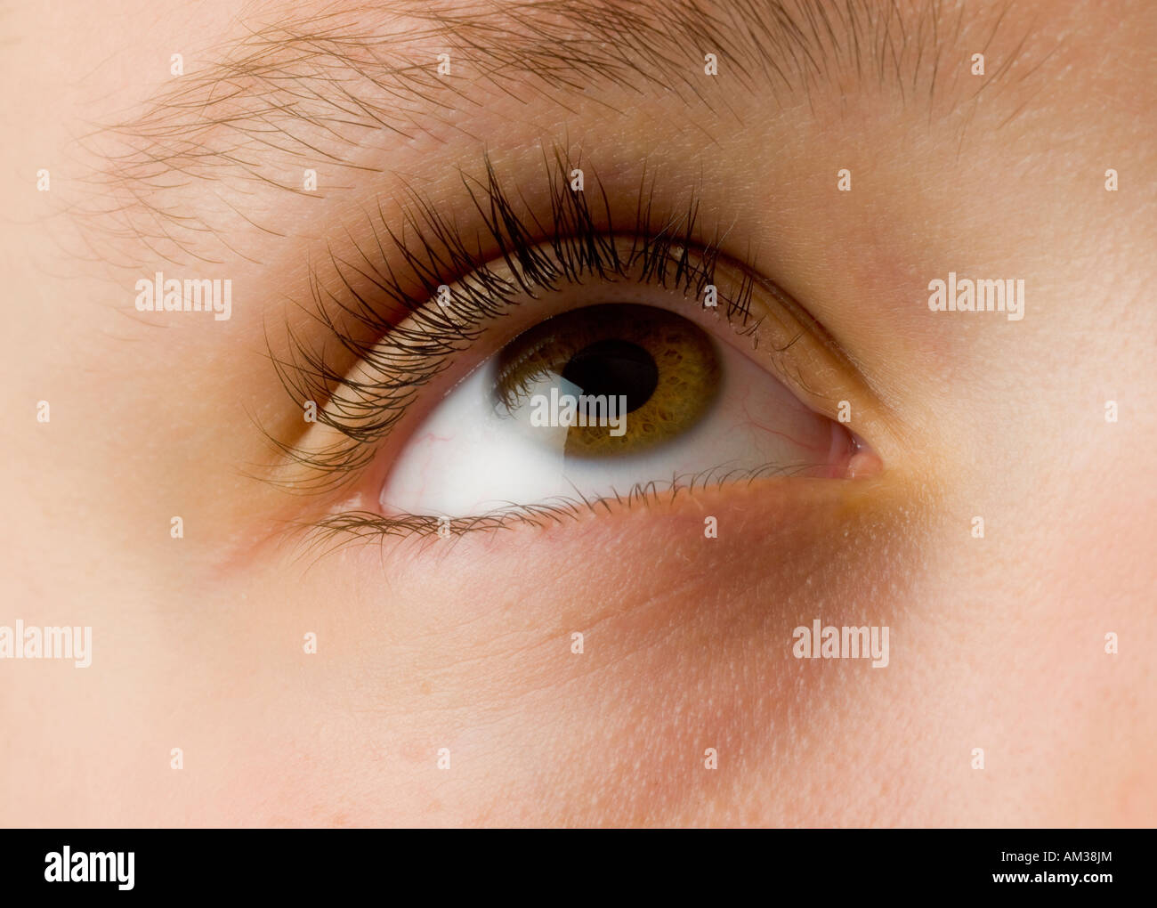 Close-up of upward-gazing brown eye with long black lashes on a Caucasian face. Stock Photo