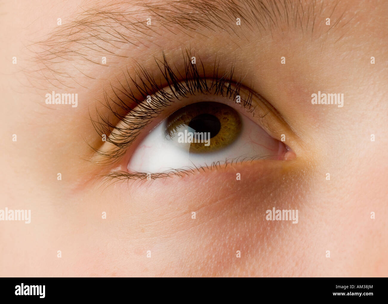 close up of young girls eye looking upwards Stock Photo Alamy