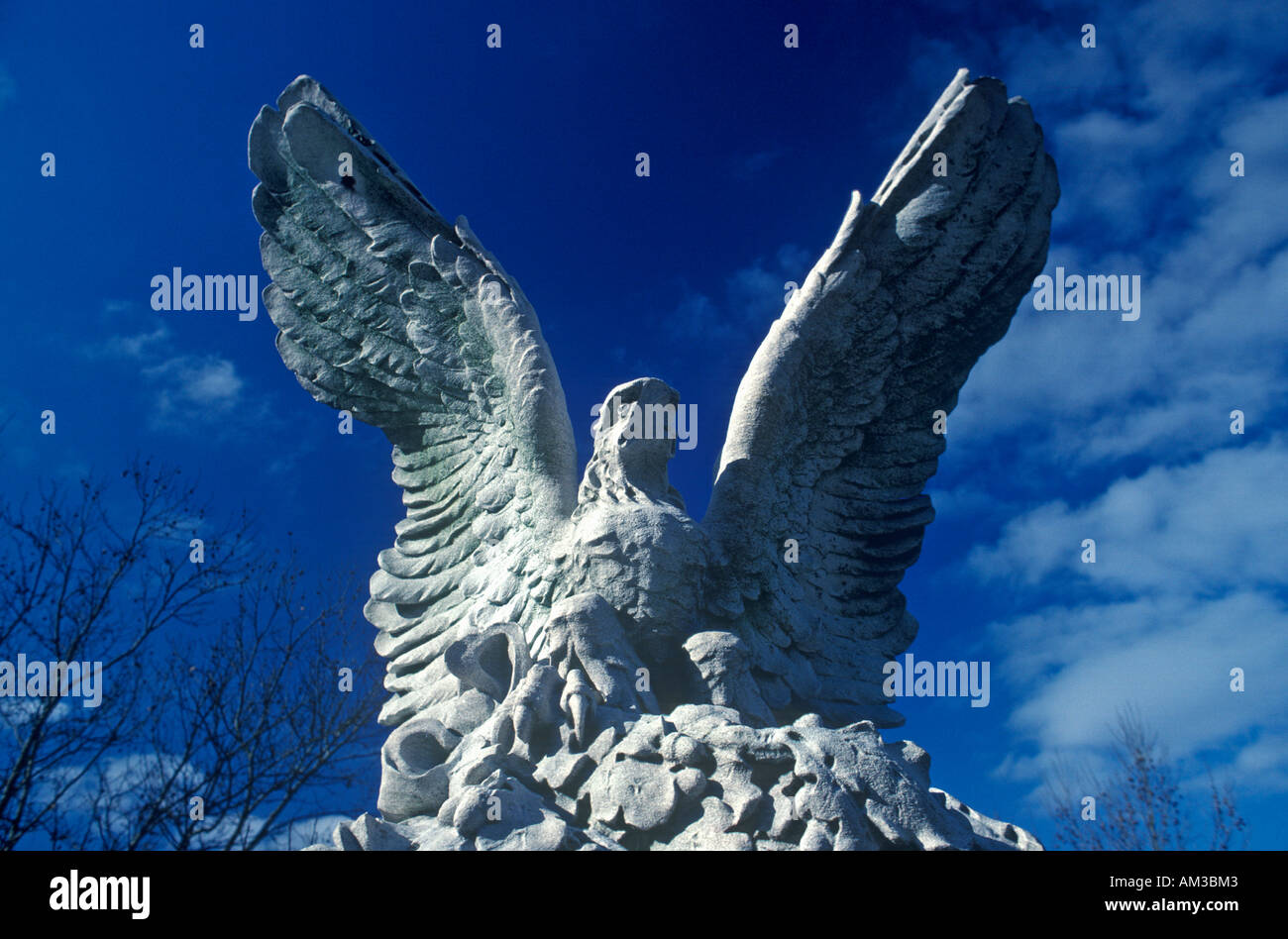 Statue of American Bald Eagle New York NY Stock Photo - Alamy