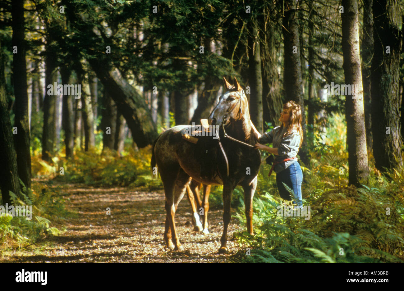 Woman with horse by the reins on trail in Autumn Stock Photo