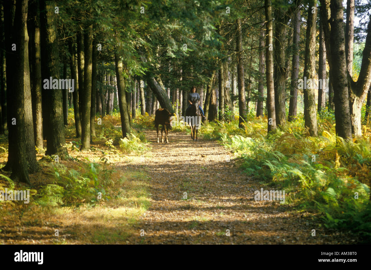 Woman with horse by the reins on trail in Autumn Stock Photo