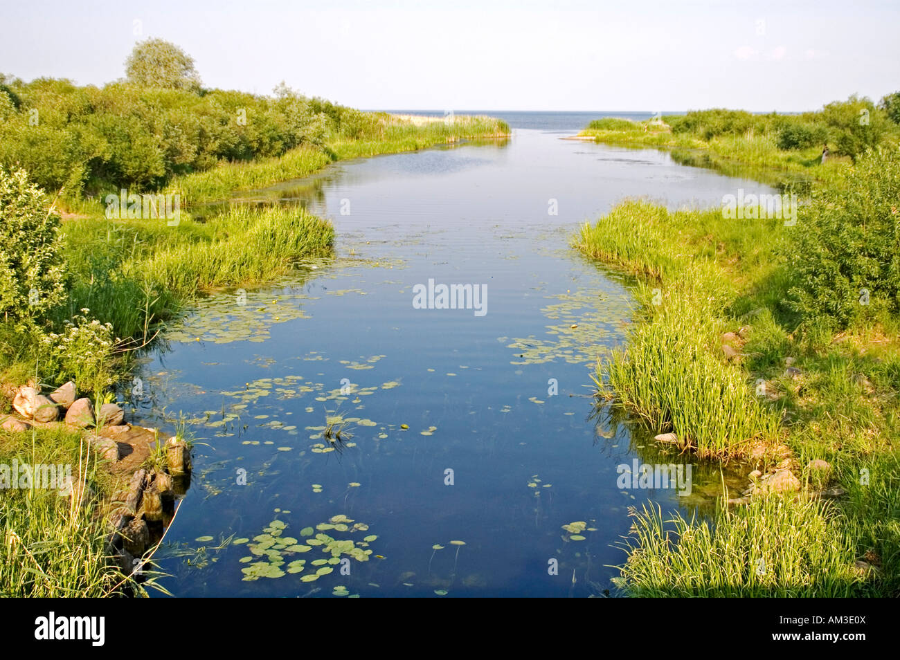 River mouth into the Peipus lake Estonia Baltic States Stock Photo - Alamy