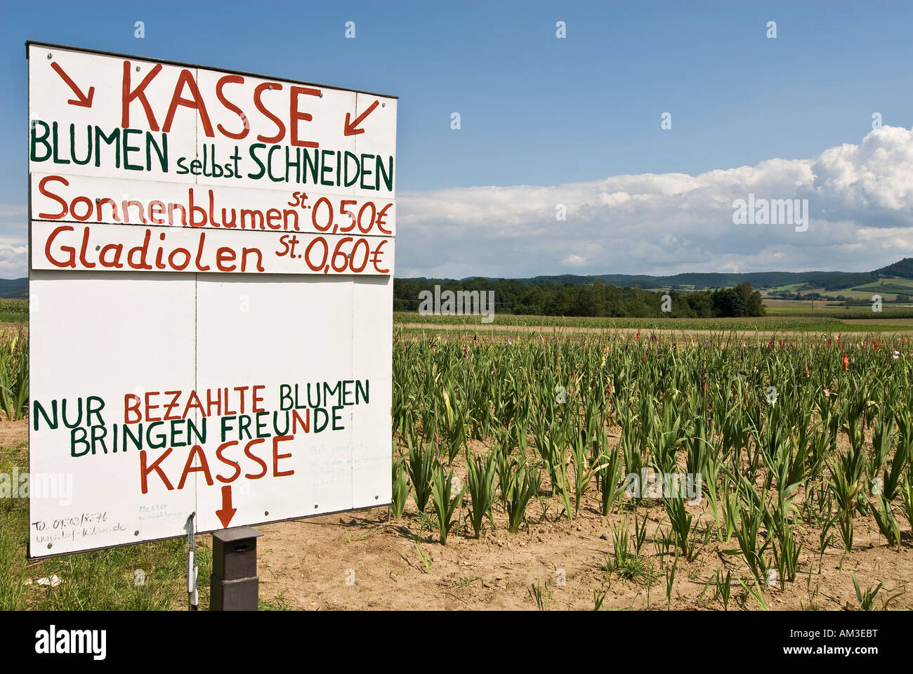 Flower picking, sign in Hassfurt, Lower Franconia, Bavaria, Germany Stock Photo