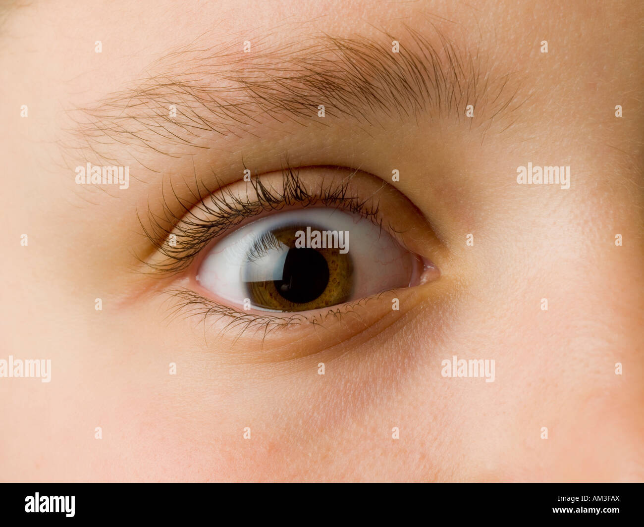 Close-up of a brown eye with long black lashes on a Caucasian face. Stock Photo