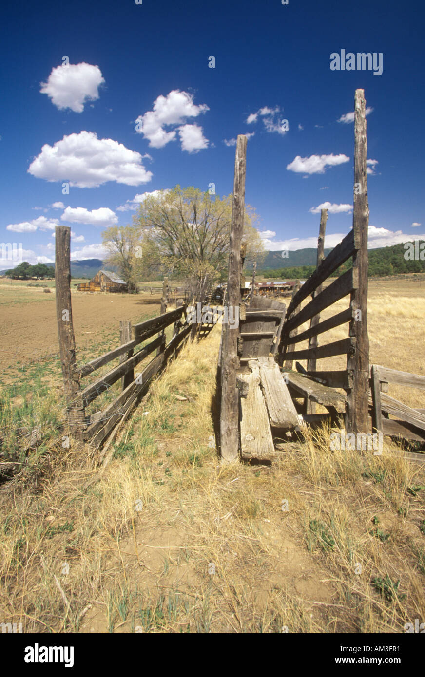 Old cattle loading gate MN Stock Photo