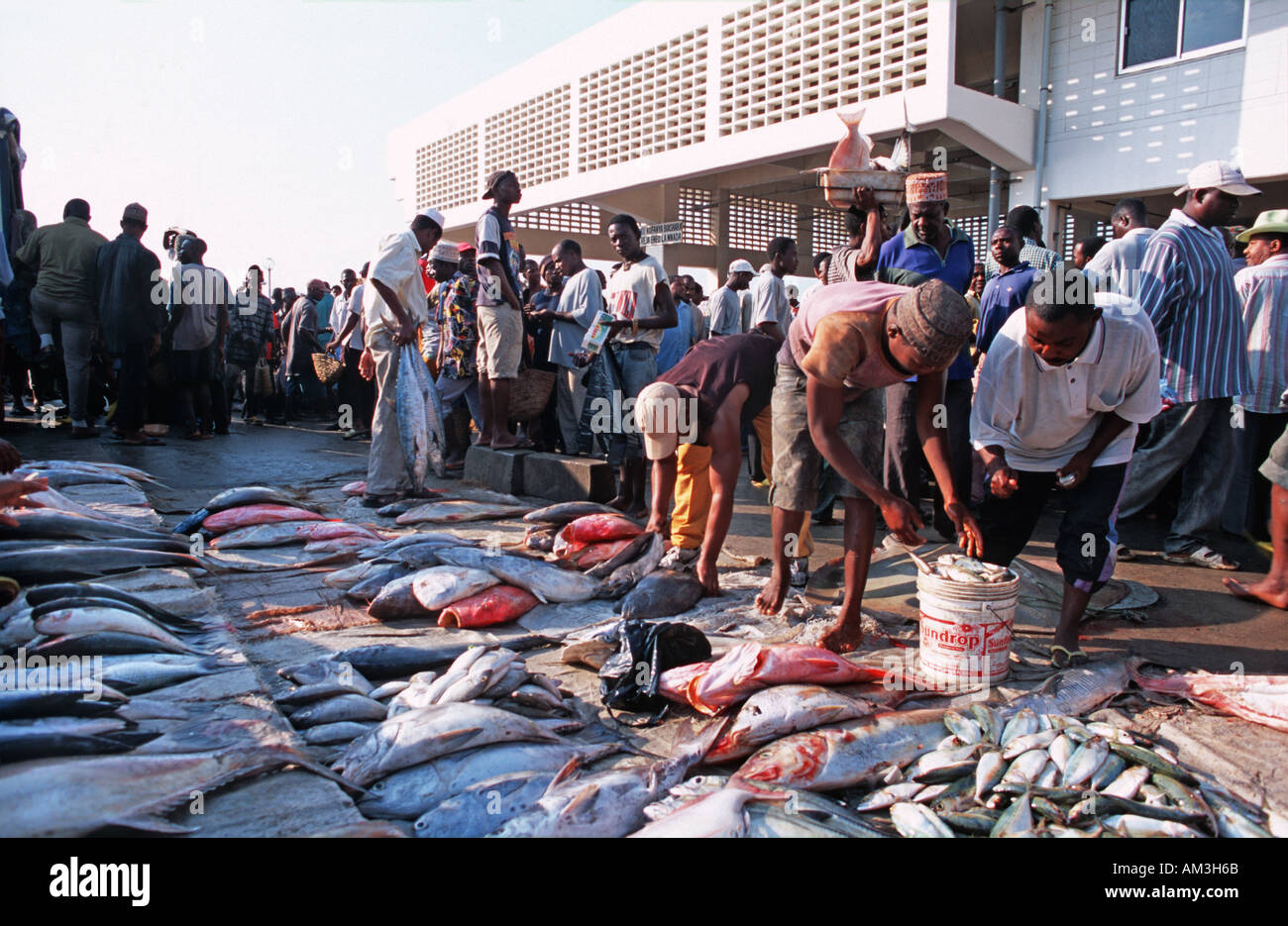 Busy morning of trade Fish market on the waterfront at Dar es Salaam Tanzania East Africa Stock