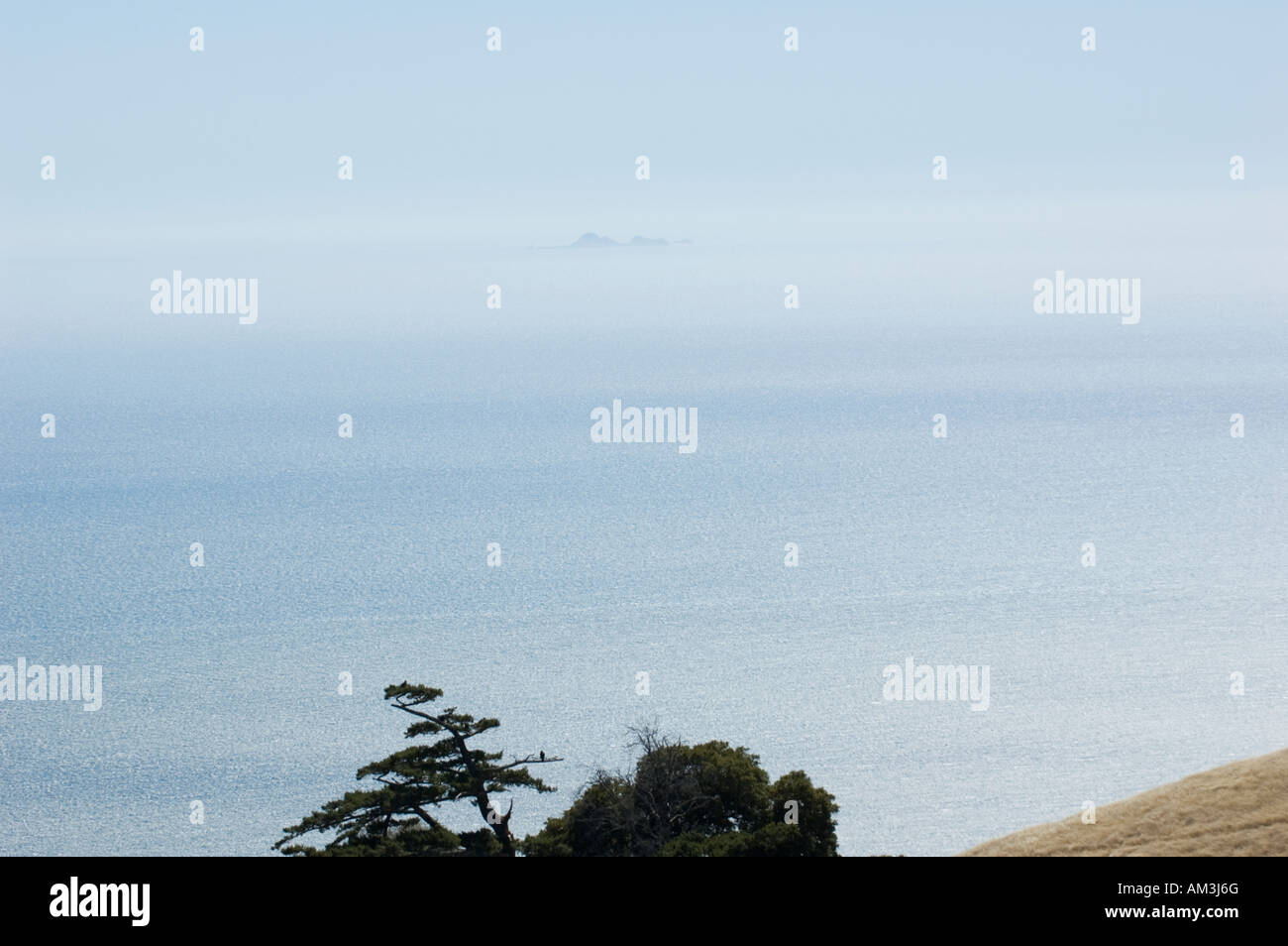 Farallons from Mt. Tamalpais with solitary bird in foreground Stock Photo