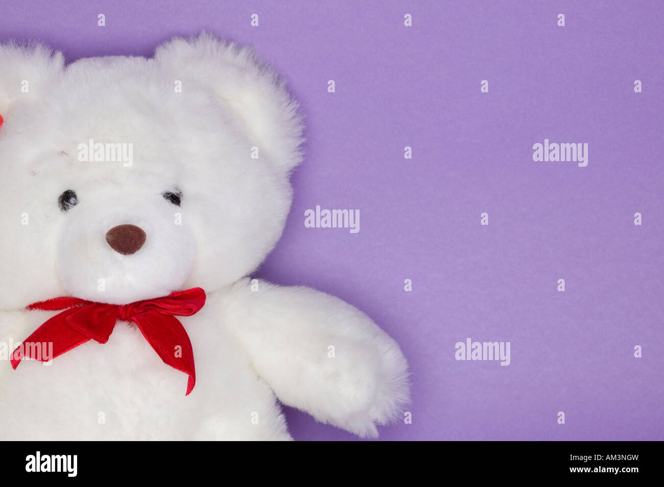 purple and white teddy bear