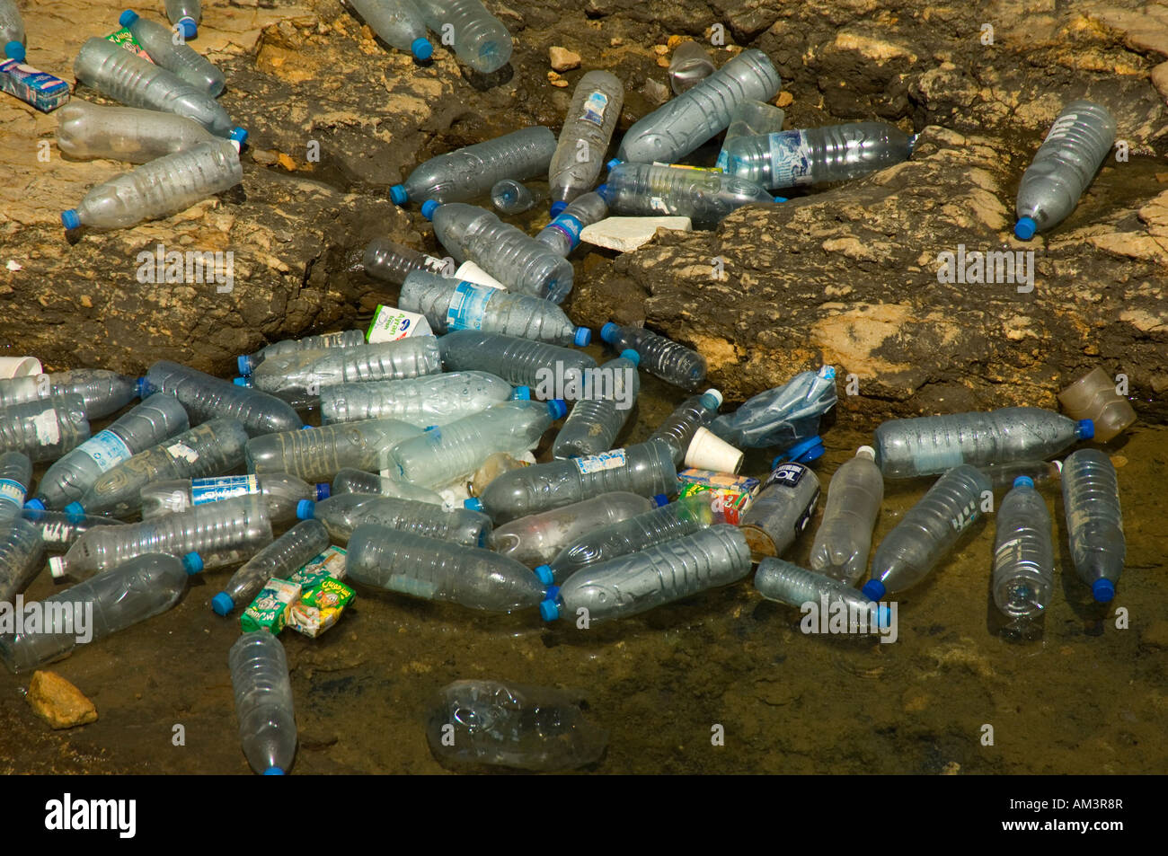 Close up of trash in the sea Stock Photo Alamy