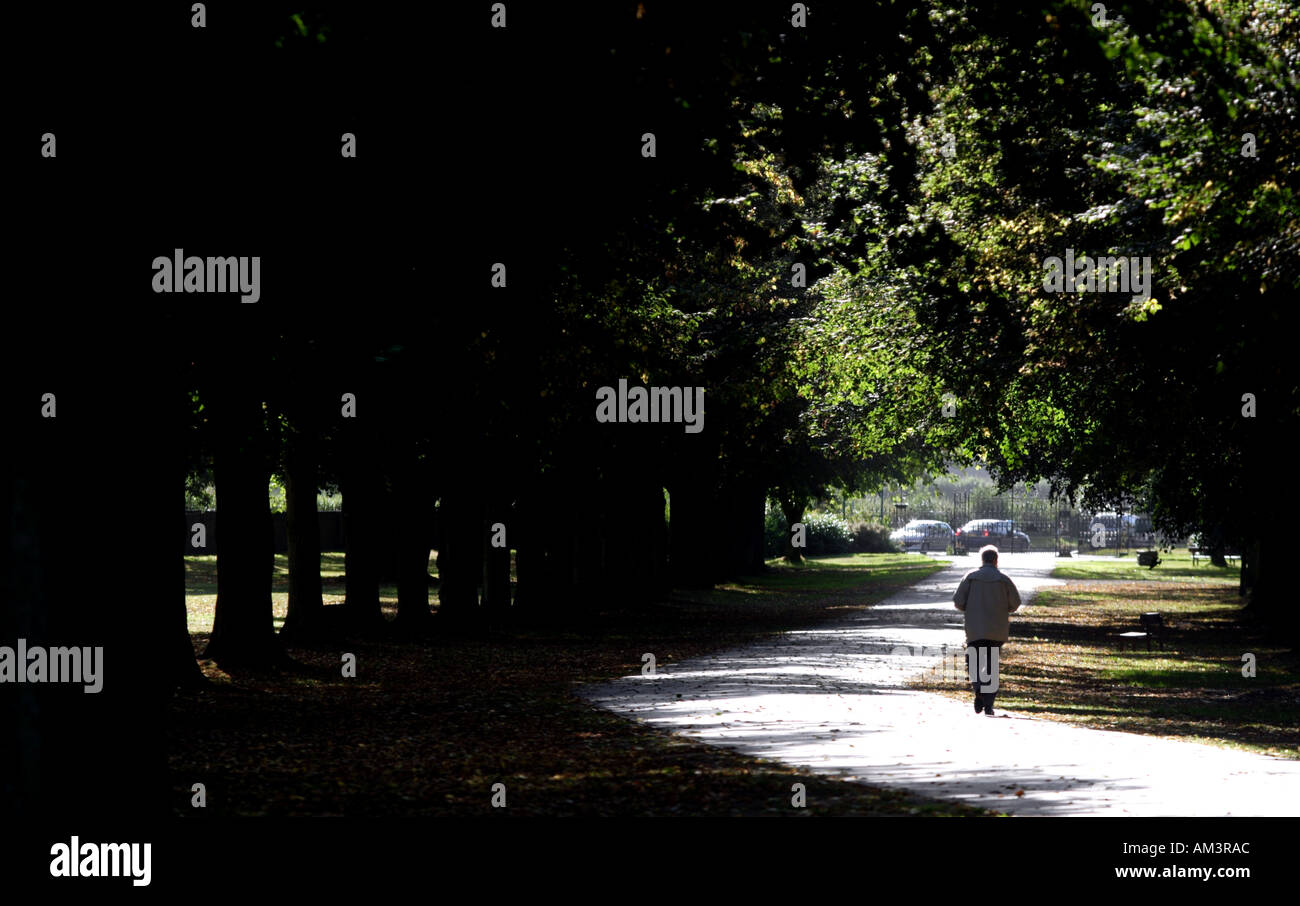 Himley Hall Park Dudley U K Stock Photo