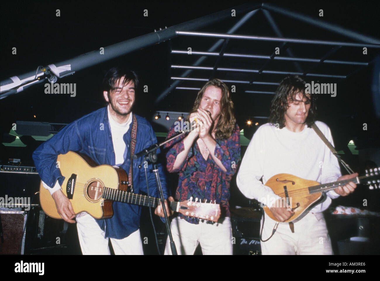 HOTHOUSE FLOWERS Stock Photo